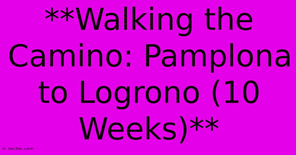 **Walking The Camino: Pamplona To Logrono (10 Weeks)**