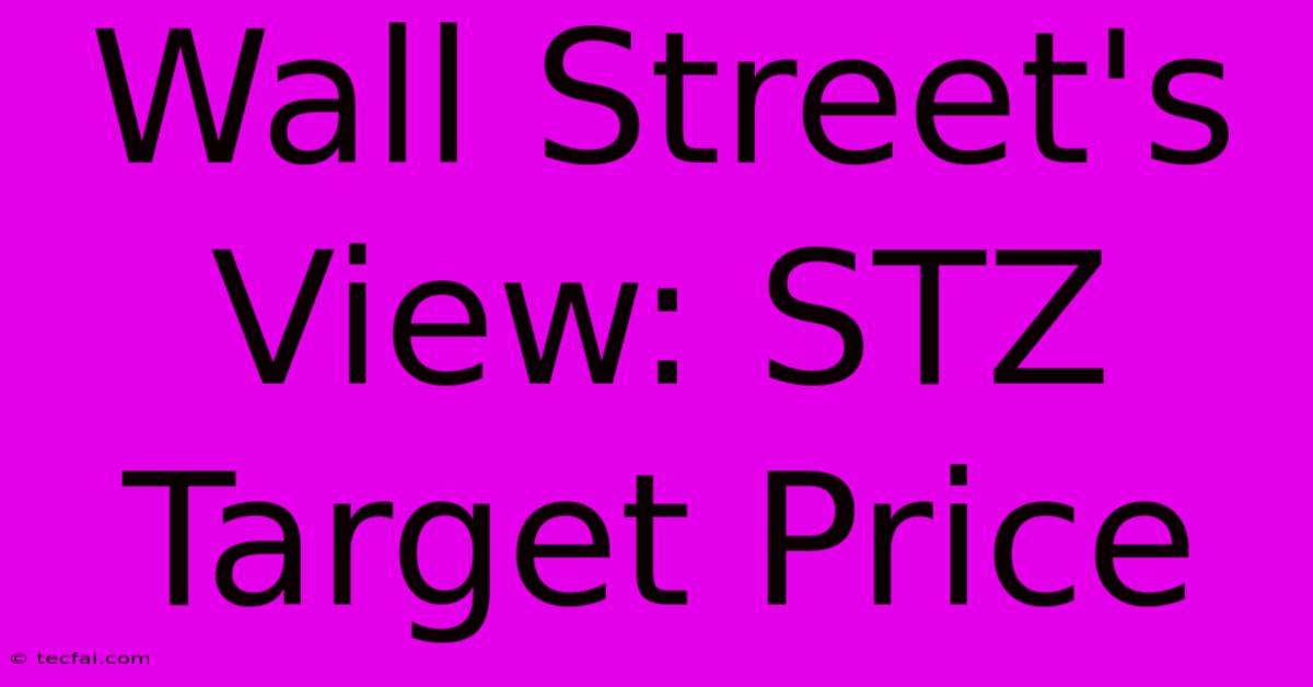 Wall Street's View: STZ Target Price