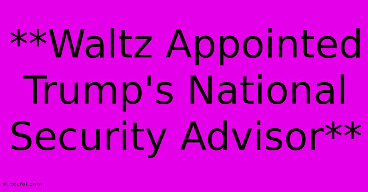 **Waltz Appointed Trump's National Security Advisor** 