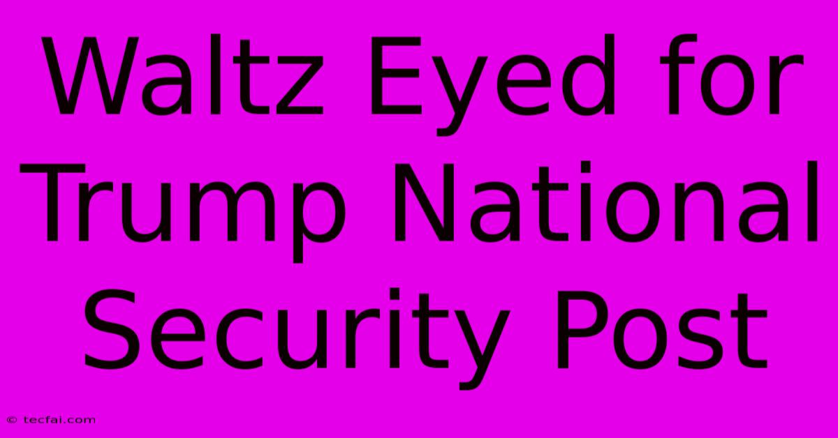 Waltz Eyed For Trump National Security Post