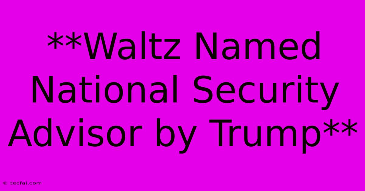 **Waltz Named National Security Advisor By Trump** 