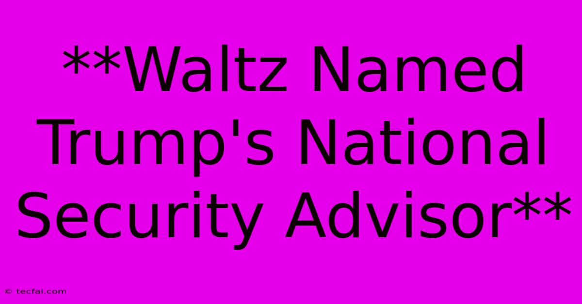 **Waltz Named Trump's National Security Advisor** 