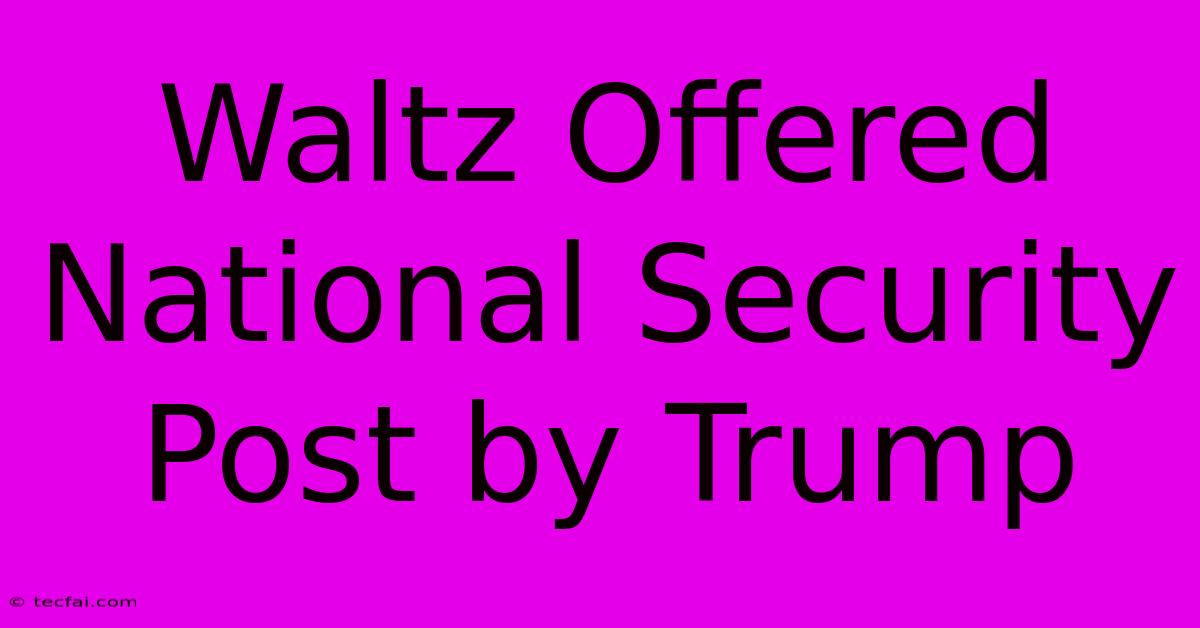 Waltz Offered National Security Post By Trump