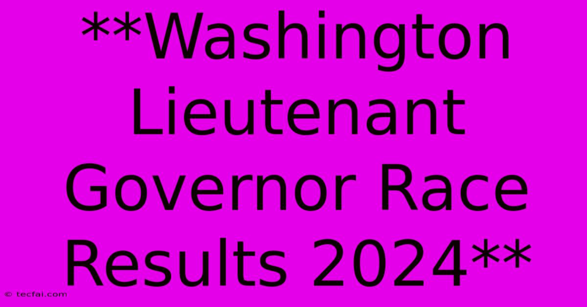 **Washington Lieutenant Governor Race Results 2024**