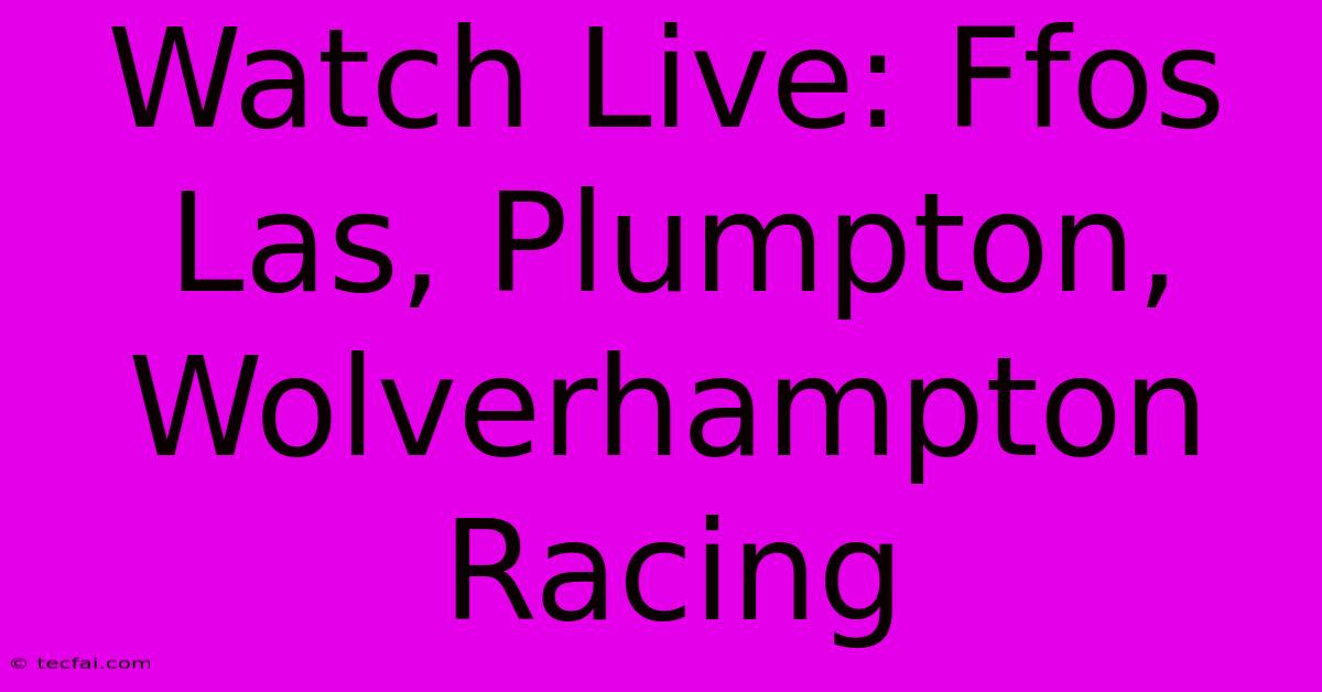 Watch Live: Ffos Las, Plumpton, Wolverhampton Racing