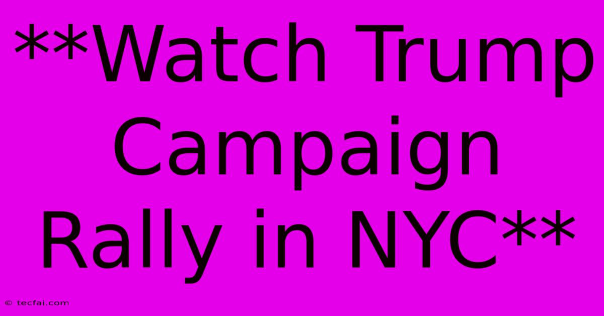 **Watch Trump Campaign Rally In NYC**