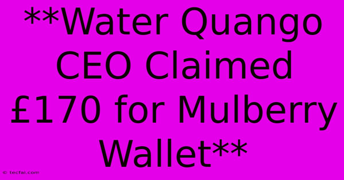 **Water Quango CEO Claimed £170 For Mulberry Wallet**