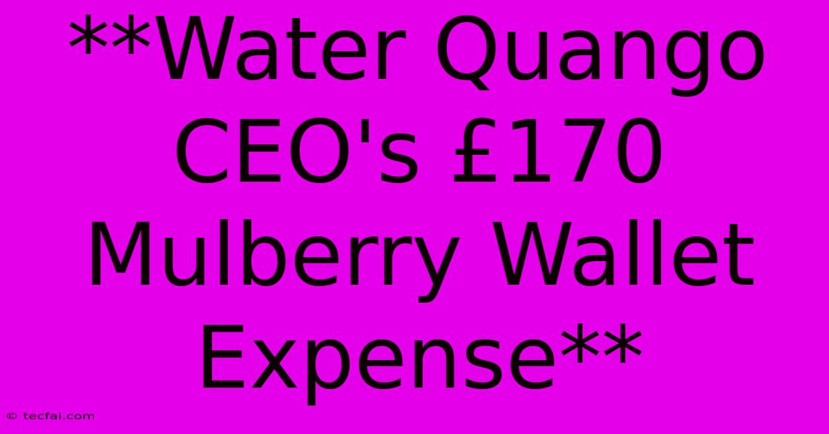 **Water Quango CEO's £170 Mulberry Wallet Expense** 