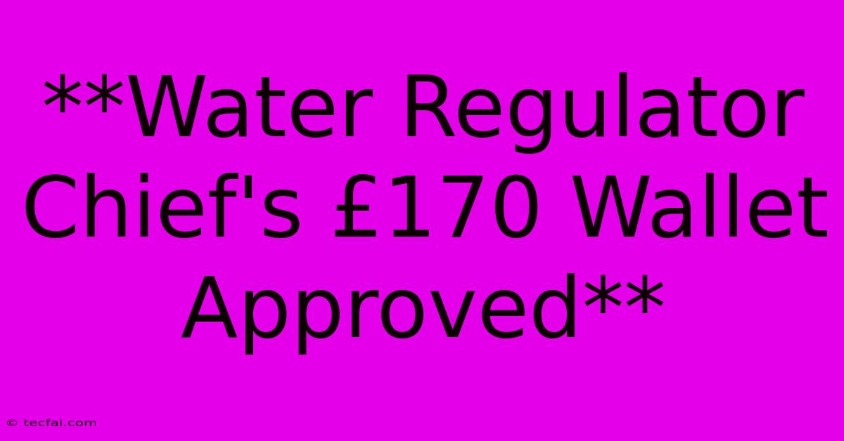 **Water Regulator Chief's £170 Wallet Approved**