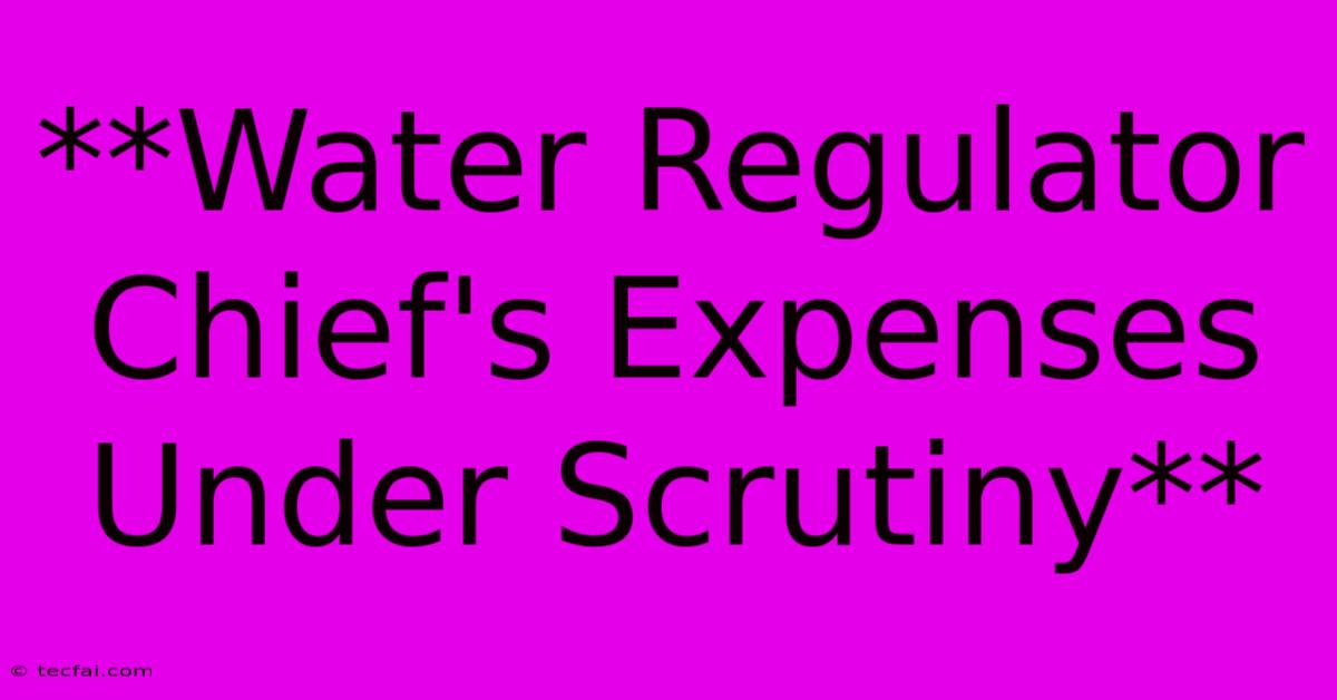 **Water Regulator Chief's Expenses Under Scrutiny**