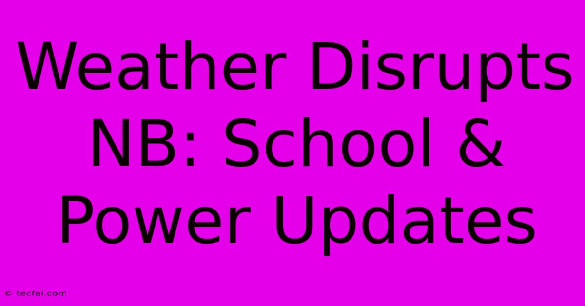 Weather Disrupts NB: School & Power Updates