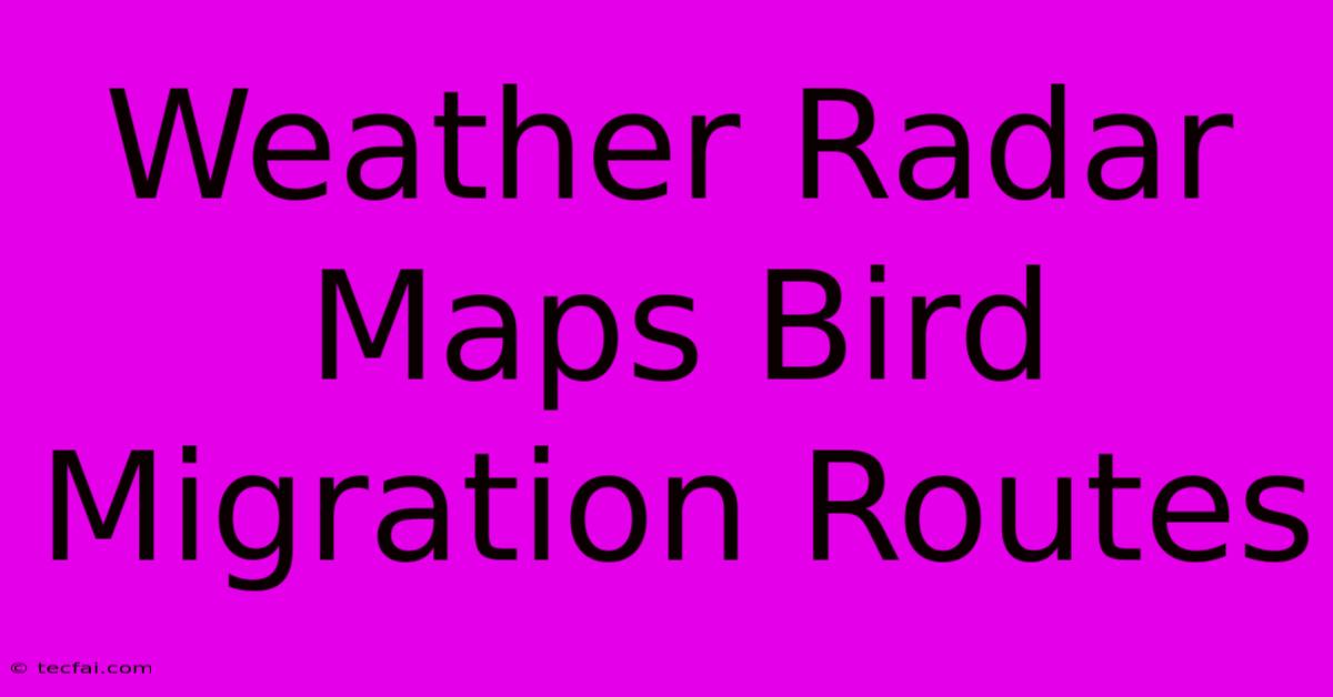 Weather Radar Maps Bird Migration Routes 