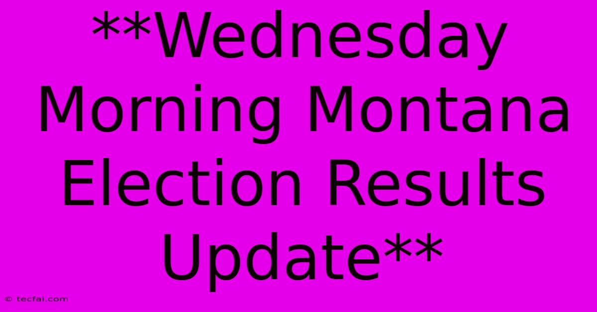 **Wednesday Morning Montana Election Results Update**