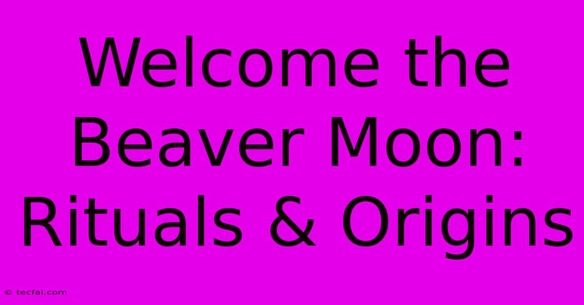 Welcome The Beaver Moon: Rituals & Origins