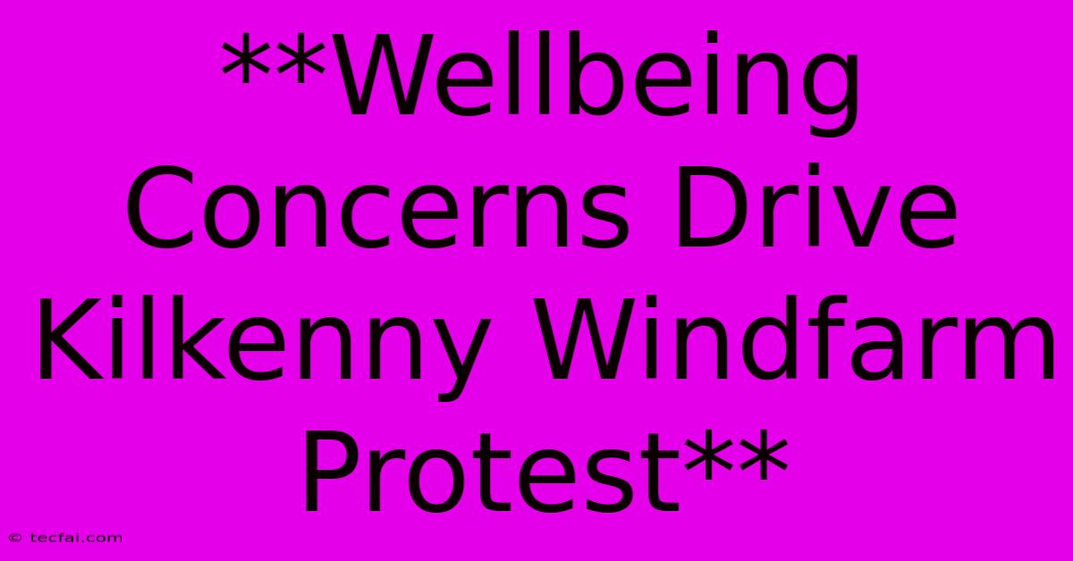 **Wellbeing Concerns Drive Kilkenny Windfarm Protest** 