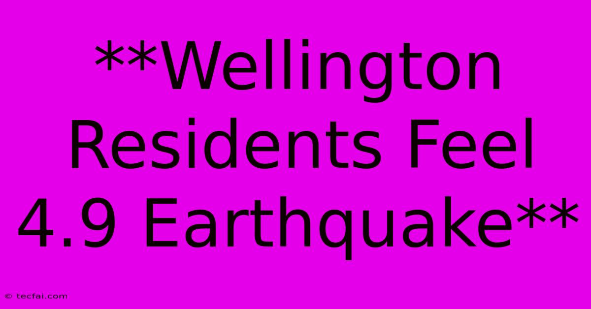 **Wellington Residents Feel 4.9 Earthquake**