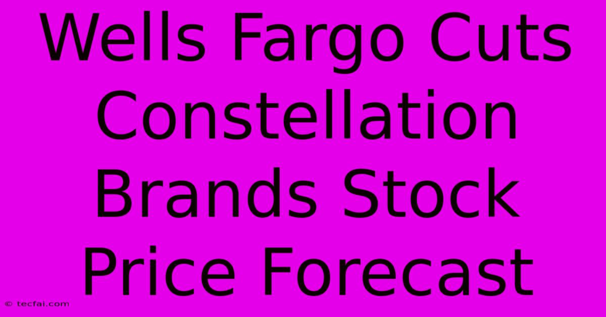 Wells Fargo Cuts Constellation Brands Stock Price Forecast