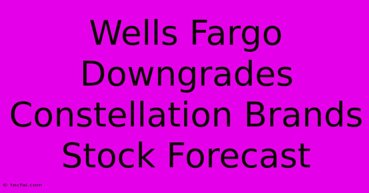 Wells Fargo Downgrades Constellation Brands Stock Forecast