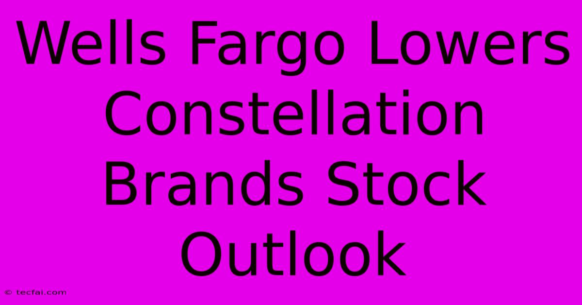 Wells Fargo Lowers Constellation Brands Stock Outlook