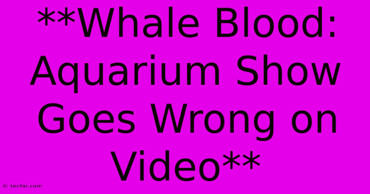 **Whale Blood: Aquarium Show Goes Wrong On Video** 