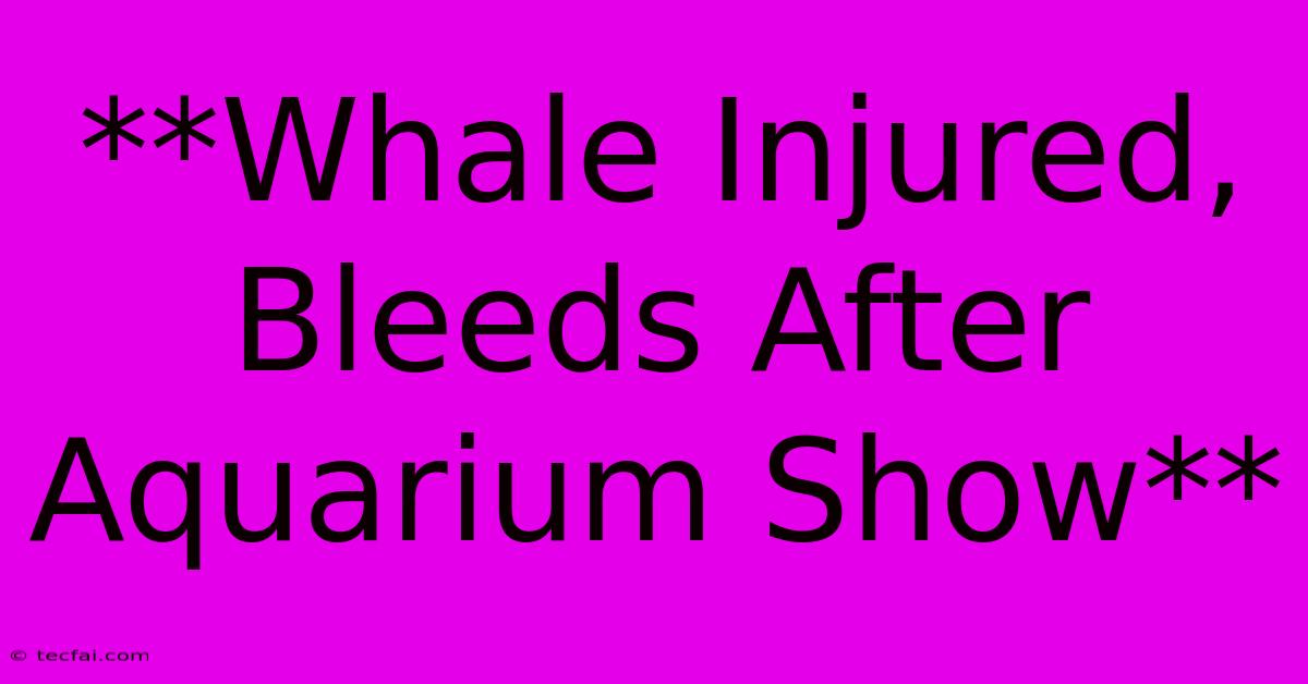 **Whale Injured, Bleeds After Aquarium Show**