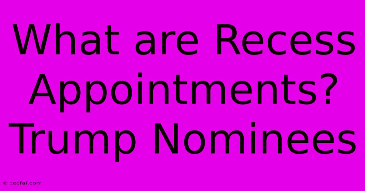 What Are Recess Appointments? Trump Nominees