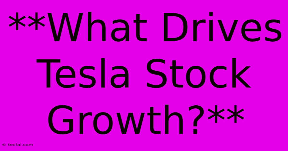 **What Drives Tesla Stock Growth?**