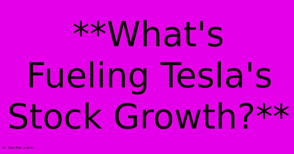 **What's Fueling Tesla's Stock Growth?**