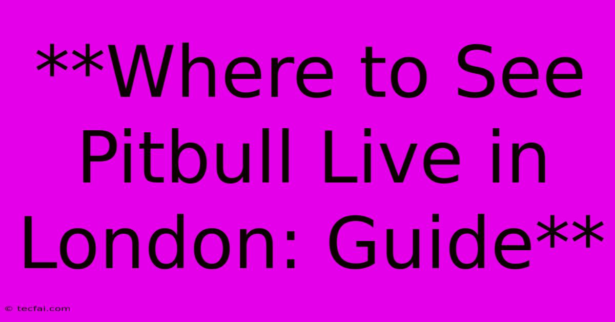 **Where To See Pitbull Live In London: Guide** 