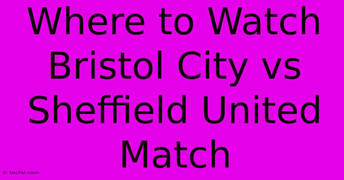 Where To Watch Bristol City Vs Sheffield United Match