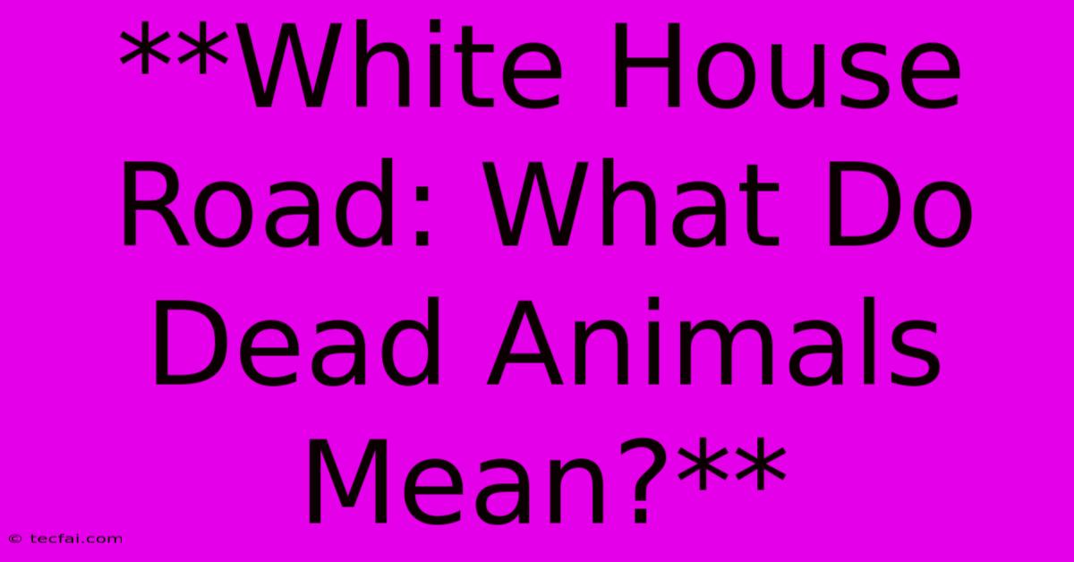 **White House Road: What Do Dead Animals Mean?** 