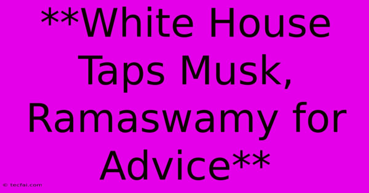 **White House Taps Musk, Ramaswamy For Advice**