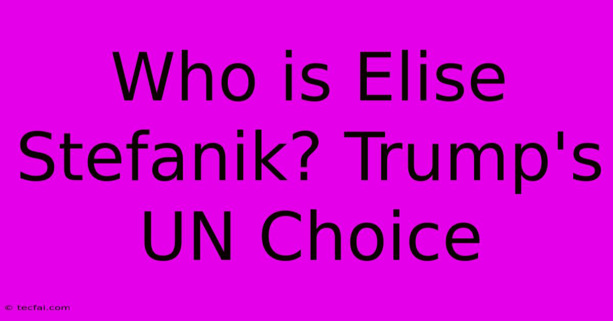 Who Is Elise Stefanik? Trump's UN Choice