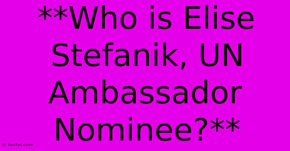 **Who Is Elise Stefanik, UN Ambassador Nominee?**