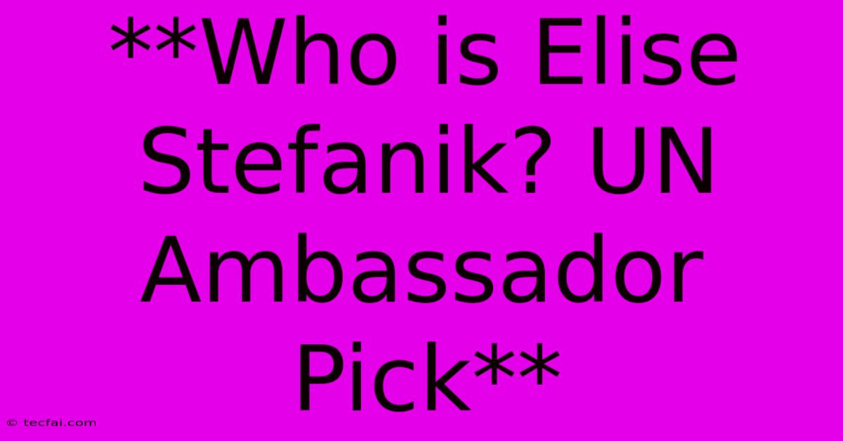 **Who Is Elise Stefanik? UN Ambassador Pick**