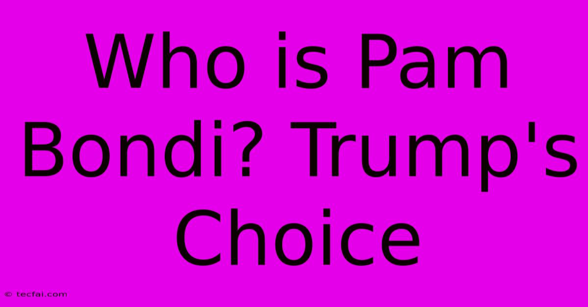 Who Is Pam Bondi? Trump's Choice