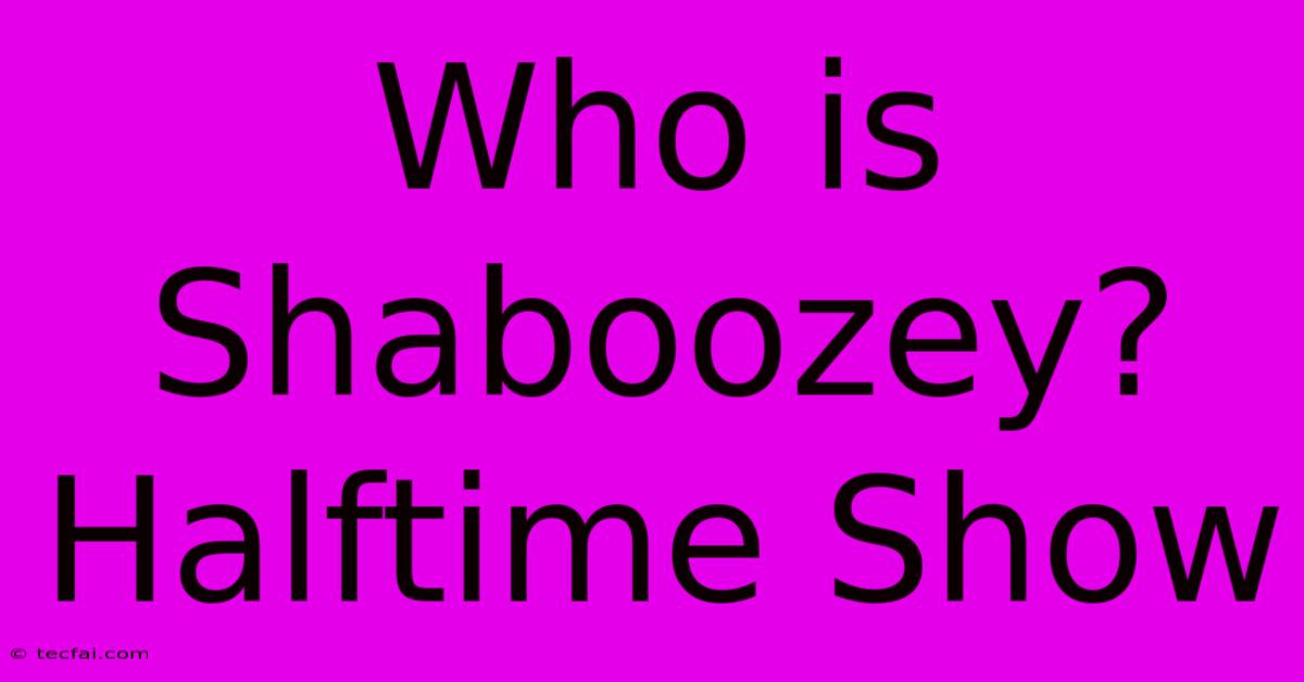 Who Is Shaboozey? Halftime Show