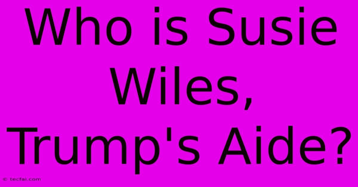 Who Is Susie Wiles, Trump's Aide?