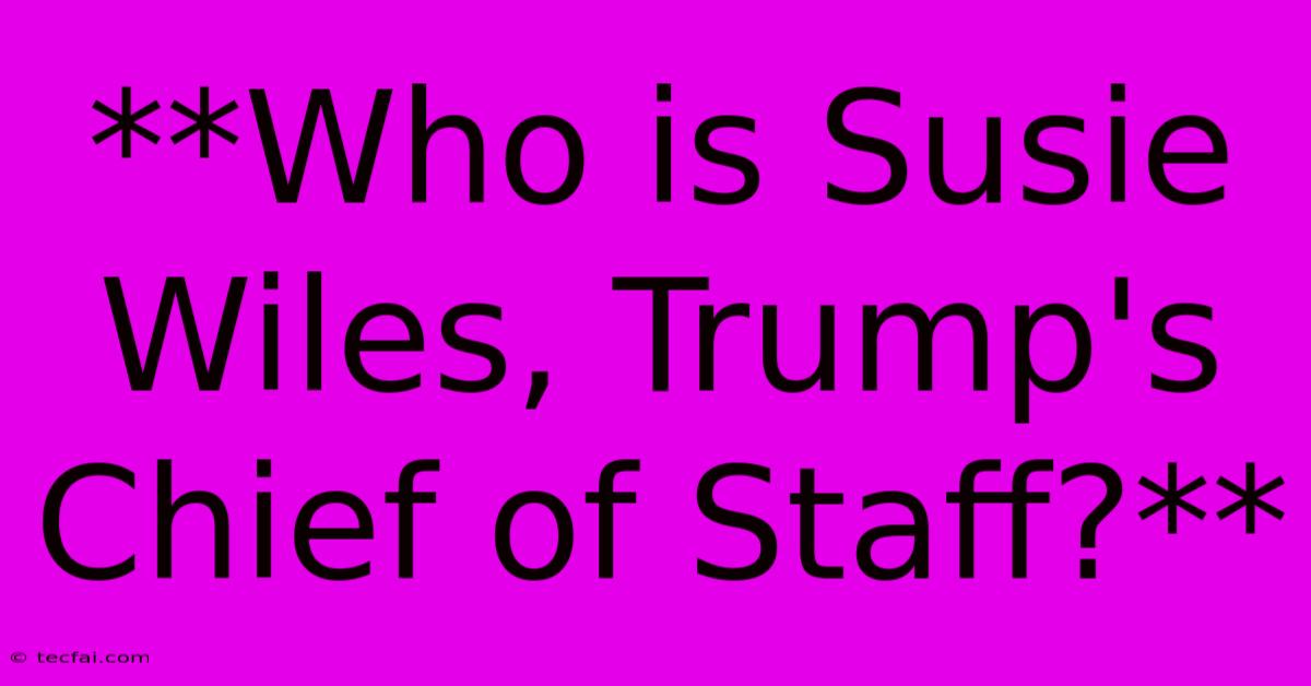 **Who Is Susie Wiles, Trump's Chief Of Staff?**