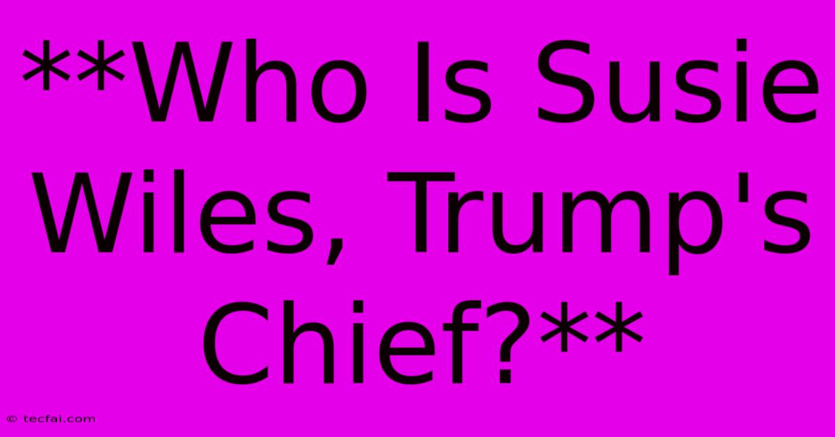 **Who Is Susie Wiles, Trump's Chief?**