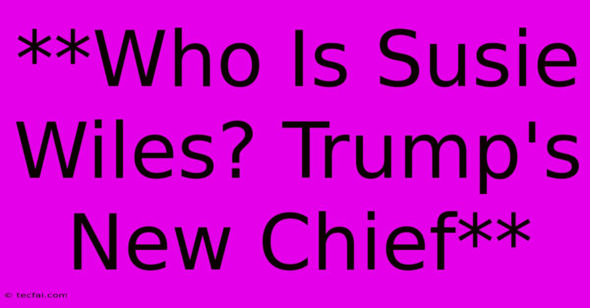 **Who Is Susie Wiles? Trump's New Chief**