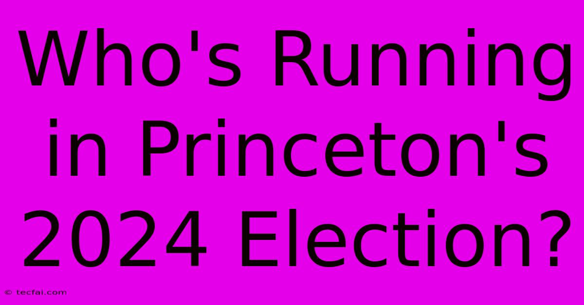 Who's Running In Princeton's 2024 Election?