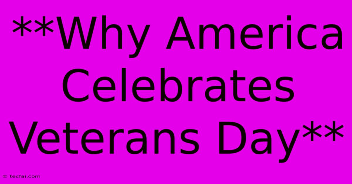 **Why America Celebrates Veterans Day**