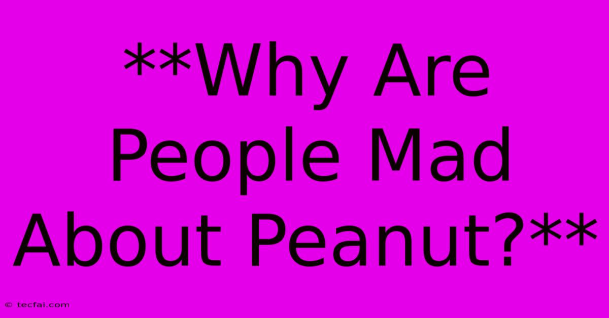 **Why Are People Mad About Peanut?**