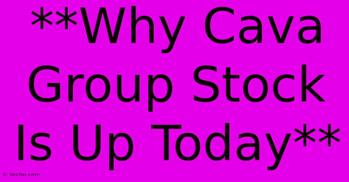 **Why Cava Group Stock Is Up Today** 