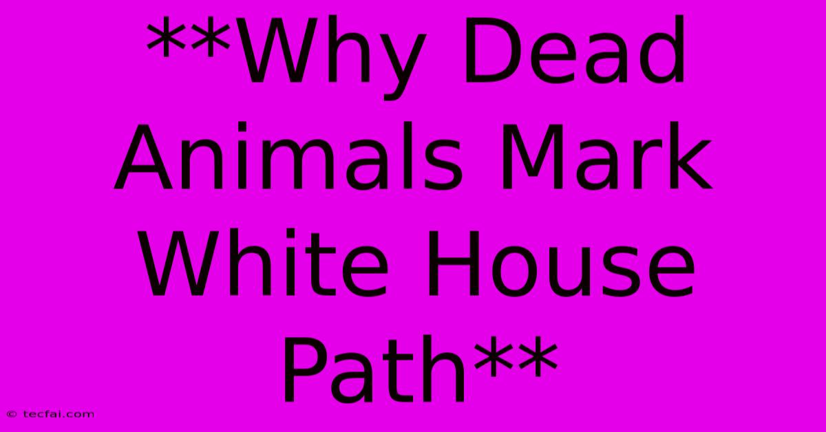 **Why Dead Animals Mark White House Path**