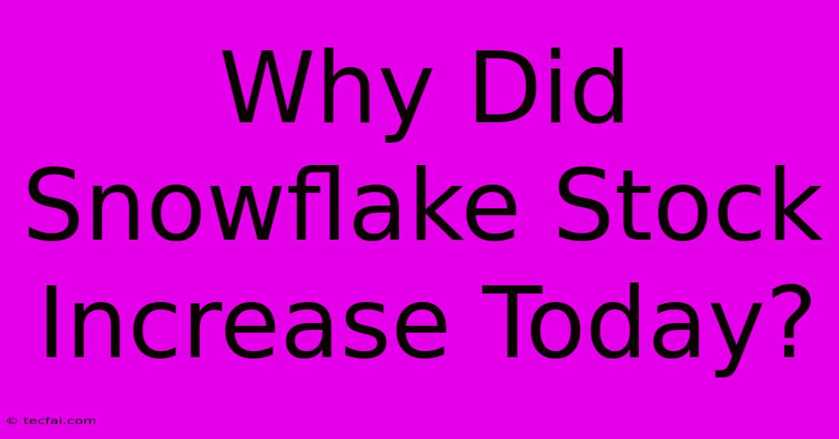 Why Did Snowflake Stock Increase Today?