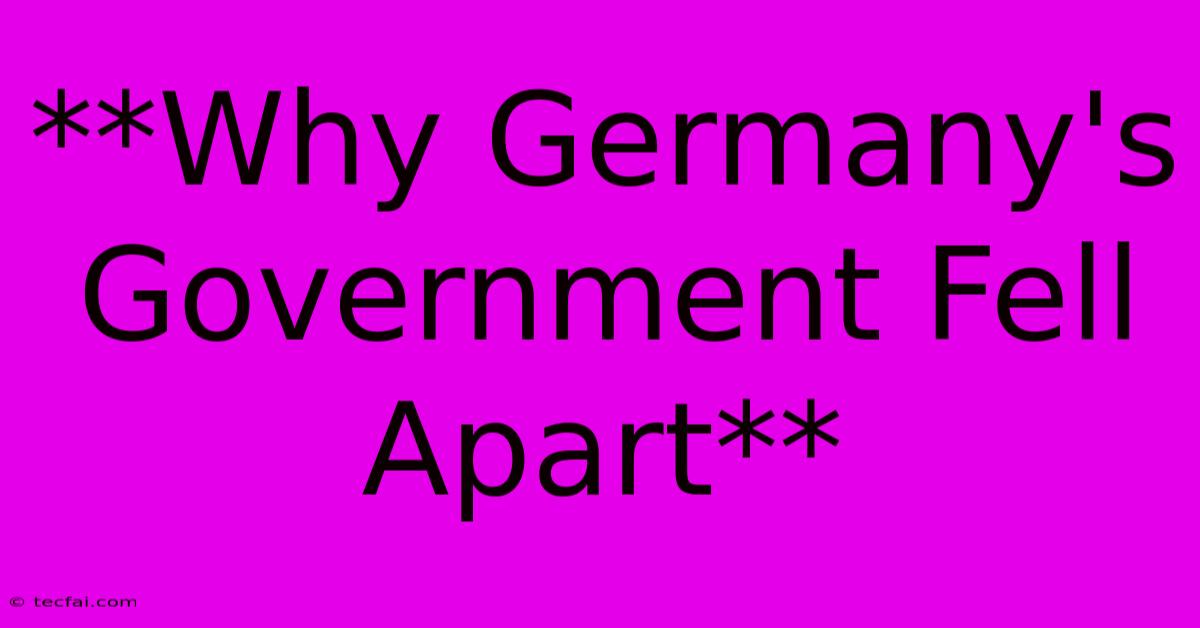 **Why Germany's Government Fell Apart**