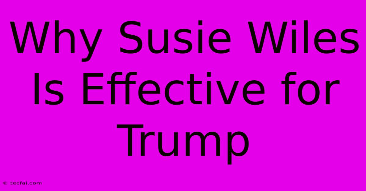 Why Susie Wiles Is Effective For Trump