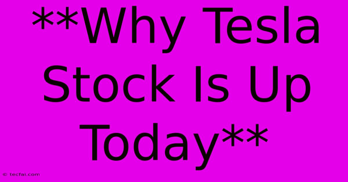 **Why Tesla Stock Is Up Today**